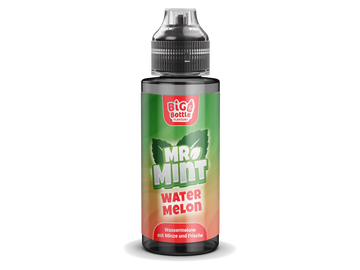 Mr. Mint by Big Bottle - Longfills 10 ml - Watermelon